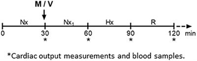 Effects of Melatonin on the Defense to Acute Hypoxia in Newborn Lambs